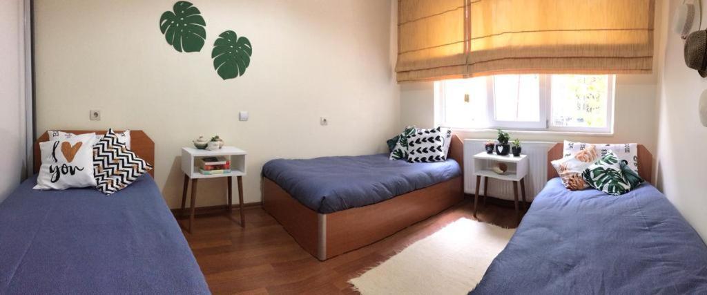 Comfy Flat 2 No Air Condition But Has Ceiling Fans And Central Heating Denizli  Luaran gambar